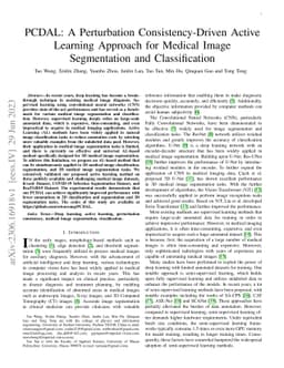 PCDAL: A Perturbation Consistency-Driven Active Learning Approach for
  Medical Image Segmentation and Classification