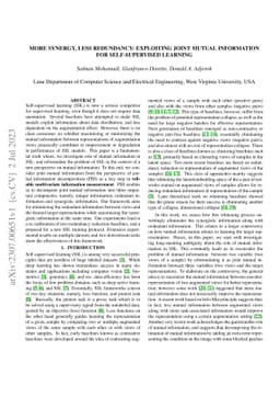 More Synergy, Less Redundancy: Exploiting Joint Mutual Information for
  Self-Supervised Learning