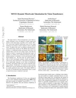 MSViT: Dynamic Mixed-Scale Tokenization for Vision Transformers