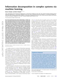 Information decomposition in complex systems via machine learning