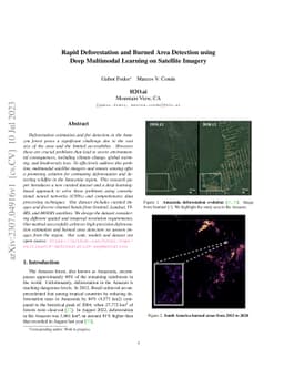 Rapid Deforestation and Burned Area Detection using Deep Multimodal
  Learning on Satellite Imagery