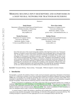Merging multiple input descriptors and supervisors in a deep neural
  network for tractogram filtering