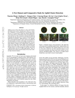 A New Dataset and Comparative Study for Aphid Cluster Detection