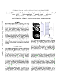 Interpretable 2D Vision Models for 3D Medical Images
