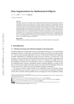 Data Augmentation for Mathematical Objects