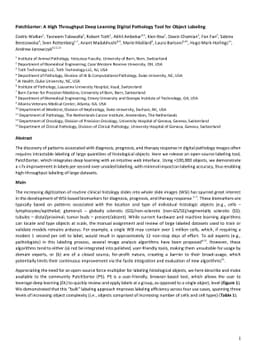 PatchSorter: A High Throughput Deep Learning Digital Pathology Tool for
  Object Labeling