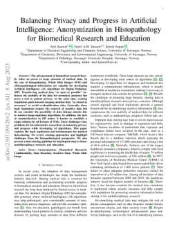 Balancing Privacy and Progress in Artificial Intelligence: Anonymization
  in Histopathology for Biomedical Research and Education