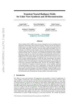 Transient Neural Radiance Fields for Lidar View Synthesis and 3D
  Reconstruction