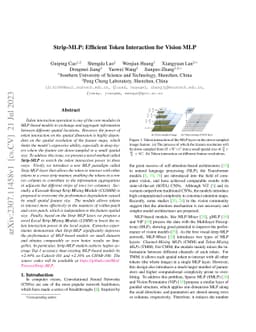 Strip-MLP: Efficient Token Interaction for Vision MLP