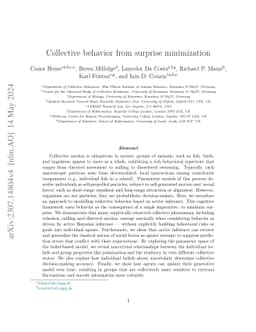Collective behavior from surprise minimization