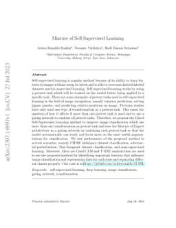 Mixture of Self-Supervised Learning