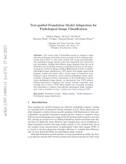 Text-guided Foundation Model Adaptation for Pathological Image
  Classification