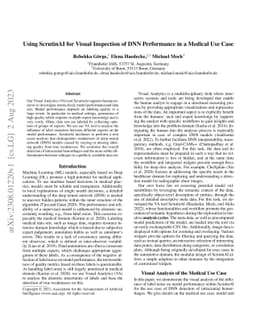 Using ScrutinAI for Visual Inspection of DNN Performance in a Medical
  Use Case