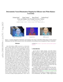 Deterministic Neural Illumination Mapping for Efficient Auto-White
  Balance Correction
