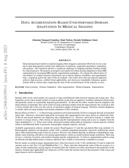 Data Augmentation-Based Unsupervised Domain Adaptation In Medical
  Imaging