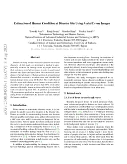 Estimation of Human Condition at Disaster Site Using Aerial Drone Images