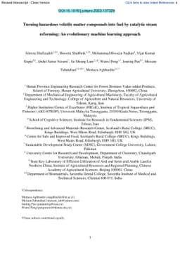 Turning hazardous volatile matter compounds into fuel by catalytic steam
  reforming: An evolutionary machine learning approach