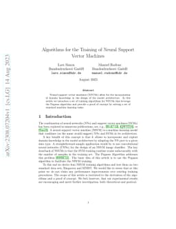 Algorithms for the Training of Neural Support Vector Machines