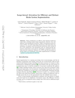Large-kernel Attention for Efficient and Robust Brain Lesion
  Segmentation