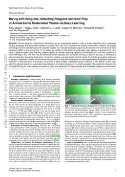 Diving with Penguins: Detecting Penguins and their Prey in Animal-borne
  Underwater Videos via Deep Learning