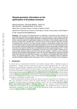 Warped geometric information on the optimisation of Euclidean functions