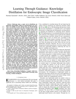 Learning Through Guidance: Knowledge Distillation for Endoscopic Image
  Classification