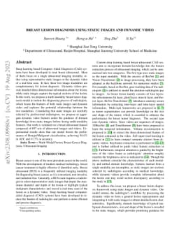 Breast Lesion Diagnosis Using Static Images and Dynamic Video