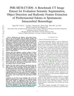 PHE-SICH-CT-IDS: A Benchmark CT Image Dataset for Evaluation Semantic
  Segmentation, Object Detection and Radiomic Feature Extraction of
  Perihematomal Edema in Spontaneous Intracerebral Hemorrhage