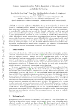 Human Comprehensible Active Learning of Genome-Scale Metabolic Networks