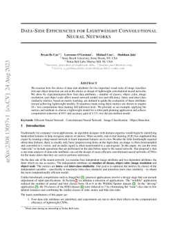 Data-Side Efficiencies for Lightweight Convolutional Neural Networks
