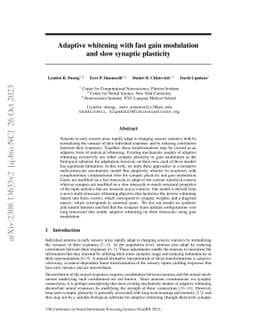 Adaptive whitening with fast gain modulation and slow synaptic
  plasticity