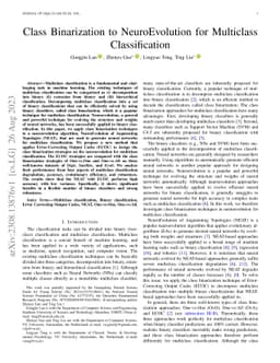 Class Binarization to NeuroEvolution for Multiclass Classification