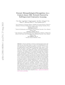 Forensic Histopathological Recognition via a Context-Aware MIL Network
  Powered by Self-Supervised Contrastive Learning