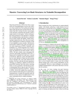 Maestro: Uncovering Low-Rank Structures via Trainable Decomposition