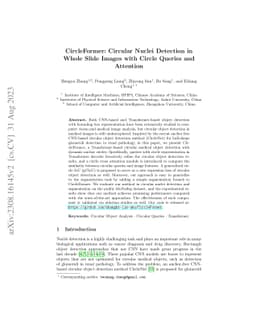 CircleFormer: Circular Nuclei Detection in Whole Slide Images with
  Circle Queries and Attention