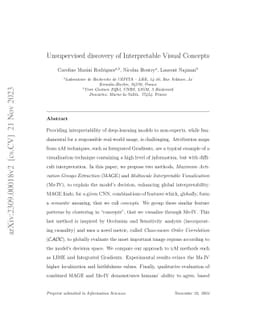 Unsupervised discovery of Interpretable Visual Concepts