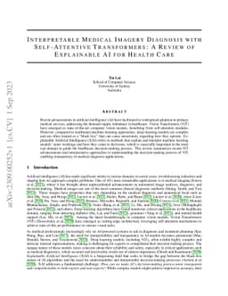 Interpretable Medical Imagery Diagnosis with Self-Attentive
  Transformers: A Review of Explainable AI for Health Care