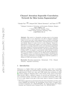 Channel Attention Separable Convolution Network for Skin Lesion
  Segmentation