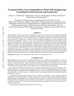 Evaluation Kidney Layer Segmentation on Whole Slide Imaging using
  Convolutional Neural Networks and Transformers