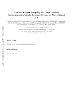 Random Expert Sampling for Deep Learning Segmentation of Acute Ischemic
  Stroke on Non-contrast CT