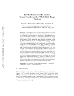 HIGT: Hierarchical Interaction Graph-Transformer for Whole Slide Image
  Analysis