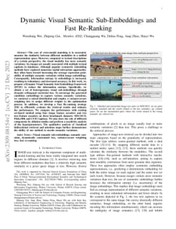 Dynamic Visual Semantic Sub-Embeddings and Fast Re-Ranking