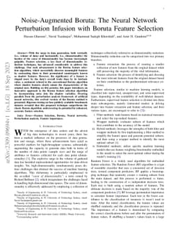 Noise-Augmented Boruta: The Neural Network Perturbation Infusion with
  Boruta Feature Selection