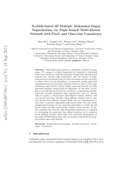 Scribble-based 3D Multiple Abdominal Organ Segmentation via
  Triple-branch Multi-dilated Network with Pixel- and Class-wise Consistency