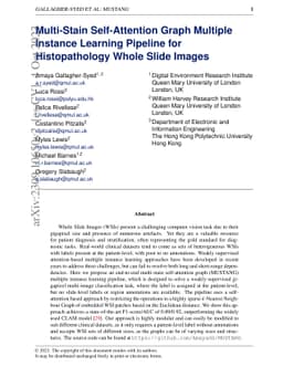 MUSTANG: Multi-Stain Self-Attention Graph Multiple Instance Learning
  Pipeline for Histopathology Whole Slide Images