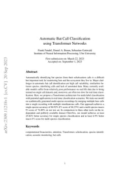 Automatic Bat Call Classification using Transformer Networks