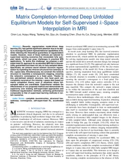 Matrix Completion-Informed Deep Unfolded Equilibrium Models for
  Self-Supervised k-Space Interpolation in MRI