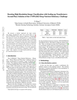 Boosting High Resolution Image Classification with Scaling-up
  Transformers