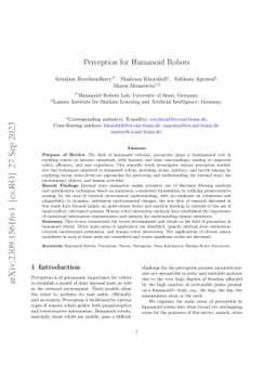 Perception for Humanoid Robots