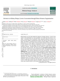 Advances in Kidney Biopsy Lesion Assessment through Dense Instance
  Segmentation